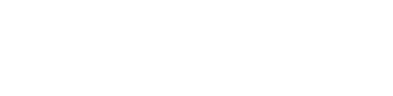 Birdeye
